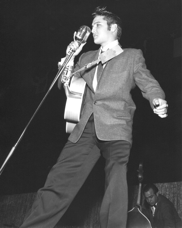 Elvis In Action